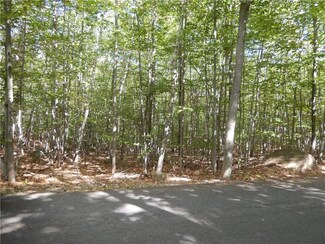 Lot A Rollins Rd, Lyman, ME 04002