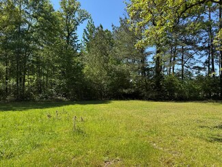 0 Bogue Chitto Rd SW, Smithdale, MS 39664