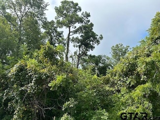 TBD Us Hwy 175 W, Jacksonville, TX 75766