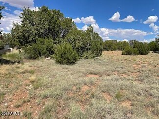 10 Fairway Cir Unit 1, Concho Valley, AZ 85924