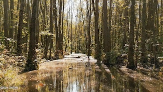 0 U S Highway 412, Jackson, TN 38305