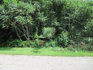 Tract 3 Deep Woods Dr, Lagrange Township, MI 49031