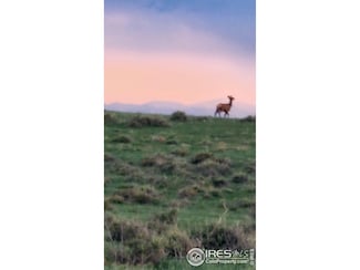 0 County Road 37- Lot B, Nunn, CO 80648