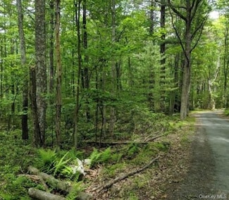 01 Allen Rd, Mamakating, NY 12790