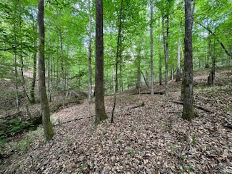 Hwy 106, Brantley, AL 36009