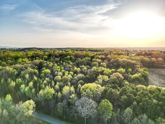 0 Antoch Rd, Somerville, AL 35670