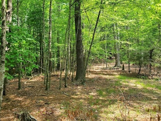0 Cobble Trail, Bent Mountain, VA 24059
