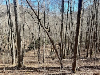 52 & 53 Coppermine Ridge, Whittier, NC 28789