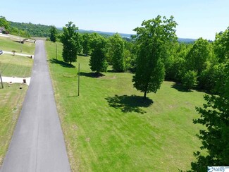 43 Tara Dr, Guntersville, AL 35976