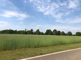 0 Old Island Ford Rd Unit 318800, Chesnee, SC 29323