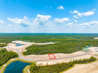 Lot 189 Windsong, Inlet Beach, FL 32461