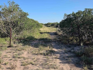 000 1st St, Freer, TX 78357