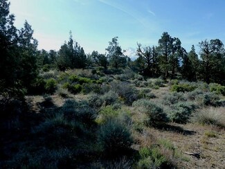 Lot 24 Pine Top Rd, Montague, CA 96064