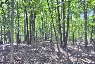 TBD 1.98 Arden Ln, Blacksburg, VA 24060