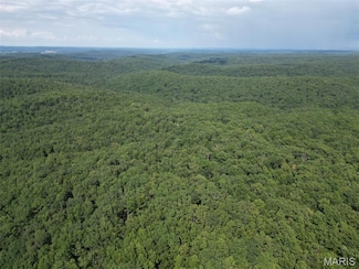 0 Bidwell Creek Rd Unit MIS25058432, Fredericktown, MO 63645