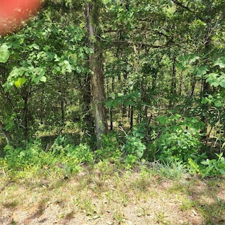 L-25, B-13A Altakima Trace, Cherokee Village, AR 72529