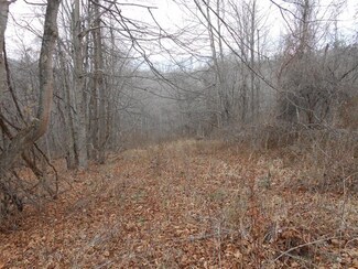 1400 Lone Pine Rd, Marianna, PA 15345