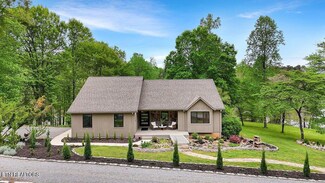350 Dogwood Cove Rd, Spring City, TN 37381