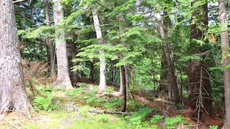 M2L51,52 Airline Rd, Amherst, ME 04605
