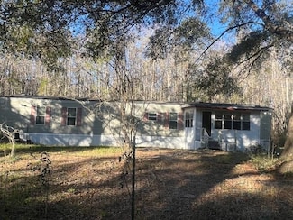 863 NW Whipporwill Dr, Greenville, FL 32331