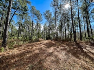 346 Tarpon Rd, Leesville, SC 29070