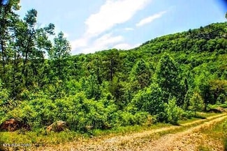 2.2 Acres Blue Sewanee Rd, Dunlap, TN 37327