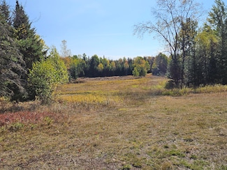 Lot 23 Mountain View Ln, Merrillsville, NY 12989