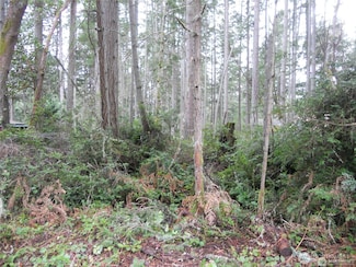 10424 107th Avenue Ct, Anderson Island, WA 98303