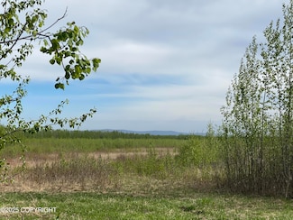 Tr S1 Barley Way, Deltana, AK 99737
