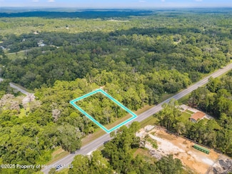 0 Treiman Blvd Unit 2254151, Webster, FL 33597