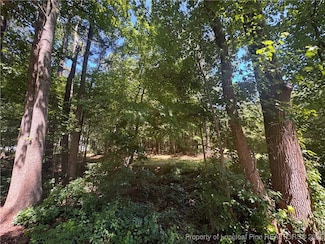 0 Center Church Rd Unit 745526, Sanford, NC 27330