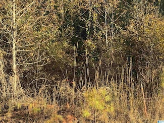 0 Owls Hollow Rd Unit 21436135, Gadsden, AL 35901