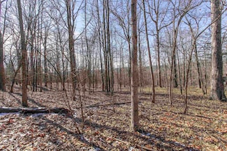 Lot 64 Big Buck Ln, Williford, AR 72482