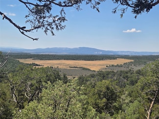 Lot 16 Unit 4, Tierra Amarilla, NM 87575