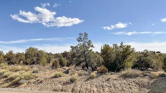 #37 Ancient Trails Cir, Aztec, NM 87410