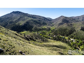 0 Wild River Rd Unit 1034487, Bellvue, CO 80512