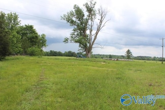 600 County Road 550, Grove Oak, AL 35975