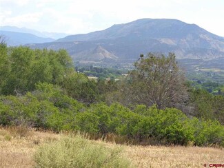 39066 Pitkin Rd, Paonia, CO 81428