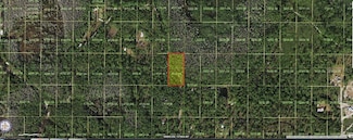 0 Holopaw Groves Rd Unit MFRO6241860, Saint Cloud, FL 34773