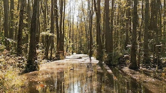 0 Hwy 412 E, Jackson, TN 38305