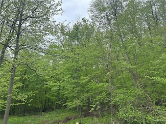 2460 Hitchings Rd, Lafayette, NY 13084