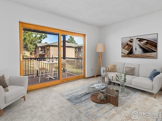 1155 S Saint Vrain Ave Unit 1-3, Estes Park, CO 80517