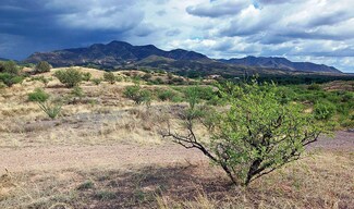 1 Juniper Berry Trail Unit 1, Patagonia, AZ 85624