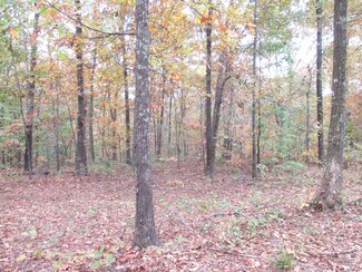 Tbd County Road 7300, Benton Township, MO 65626