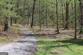 0 Chestatee Dr Unit 10357449, Cleveland, GA 30528