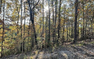 Lot 7 Allison Dr, Lake View, AL 35111