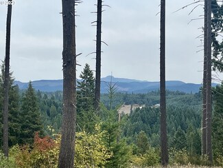 0 Gowdyville Rd Unit 23559471, Cottage Grove, OR 97424