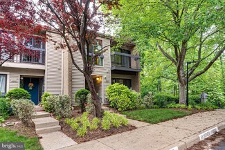 11608 Windbluff Ct Unit 7/007B2, Reston, VA 20191