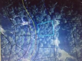 Lot 814 Hidden Lagoon Dr, Shellman Bluff, GA 31331