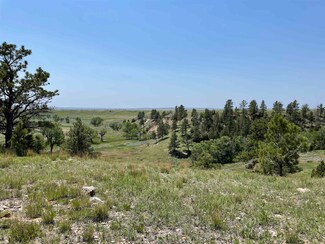 TBD Red Canyon Rd, Edgemont, SD 57735